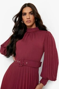 Vestito Skater A Collo Alto A Pieghe Con Cintura -Negozio al dettaglio Vestiti fzz34332 berry xl 3