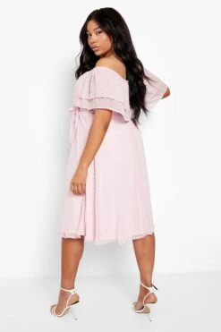 Vestito Skater Midi Plus Size In Plumetis Con Spalle Scoperte -Negozio al dettaglio Vestiti gzz02671 blush xl 1