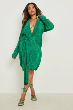 Vestito Camicia Scaldacuore Plus Size Plissettato -Negozio al dettaglio Vestiti gzz17684 green xl 2