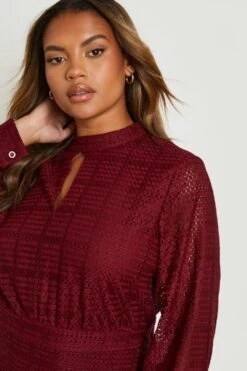 Vestito Skater Plus Size In Pizzo All’uncinetto Con Arricciature E Intaglio Sullo Scollo -Negozio al dettaglio Vestiti gzz20013 berry xl 3