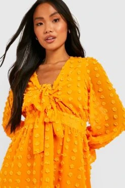 Vestito Skater Petite In Rete Plumetis Con Trama E Laccetti Frontali -Negozio al dettaglio Vestiti gzz28765 orange xl 3