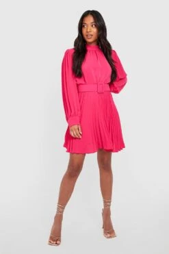 Vestito Skater Petite A Collo Alto A Pieghe Con Cintura -Negozio al dettaglio Vestiti gzz30668 hot20pink xl 2