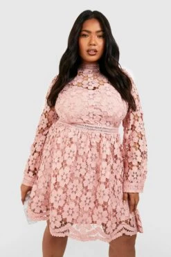 Vestito Skater Plus Size Premium In Pizzo Guipure -Negozio al dettaglio Vestiti pzz01459 blush xl 2