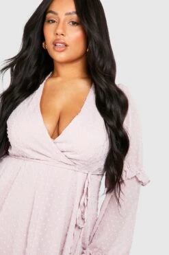 Vestito Skater Plus Size Arricciato In Rete Plumatis E Chiffon -Negozio al dettaglio Vestiti pzz62360 blush xl 3