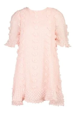 Vestito Smock Plus Size In Rete Plumetis Con Arricciature -Negozio al dettaglio Vestiti pzz67660 blush xl 2